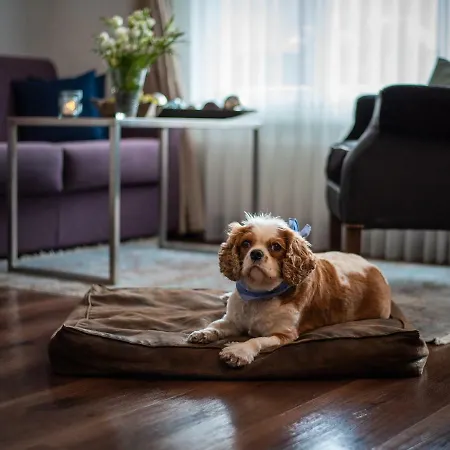 Отель Mirabeau Alpine Церматт