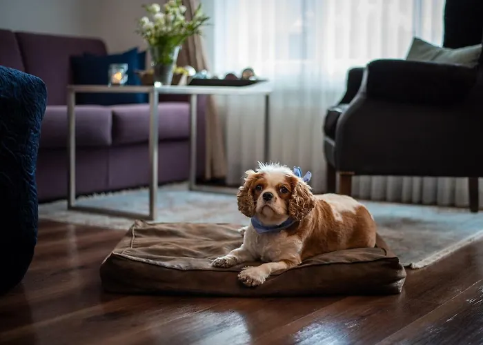 ホテル Mirabeau Alpine ツェルマット